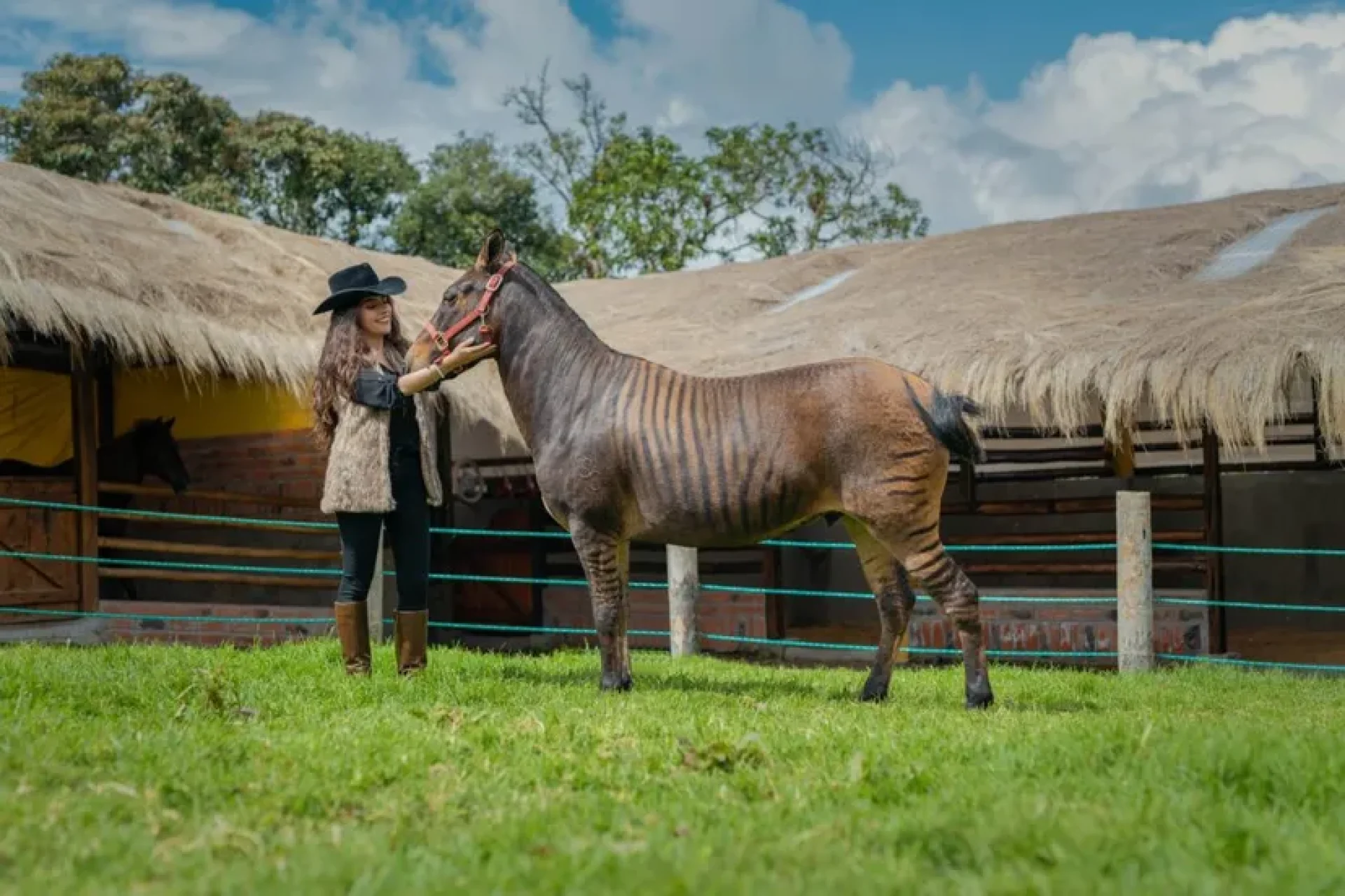 Foto What to do in Baños de Agua Santa