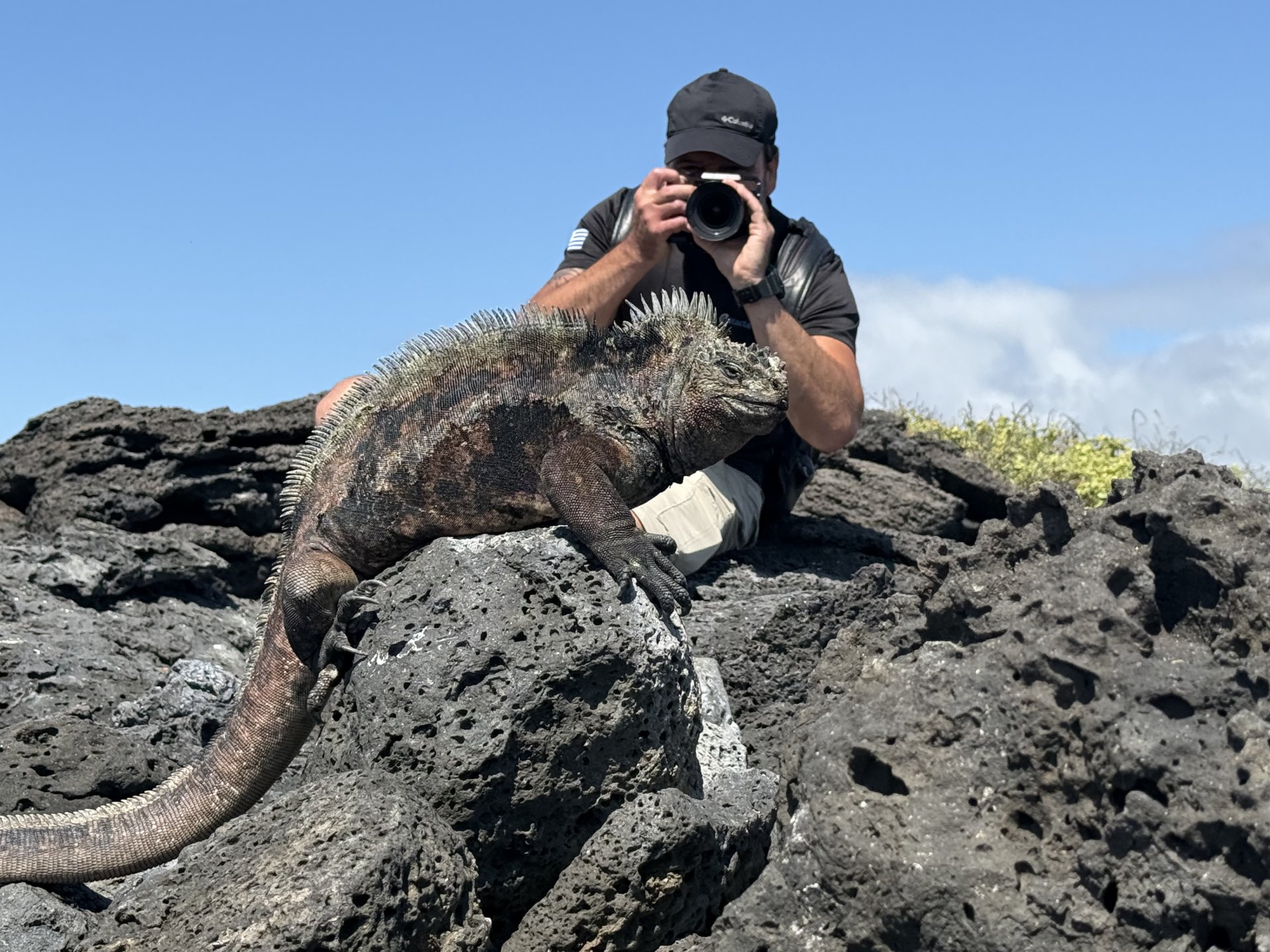  Foto The Unique Fauna of Galapagos
