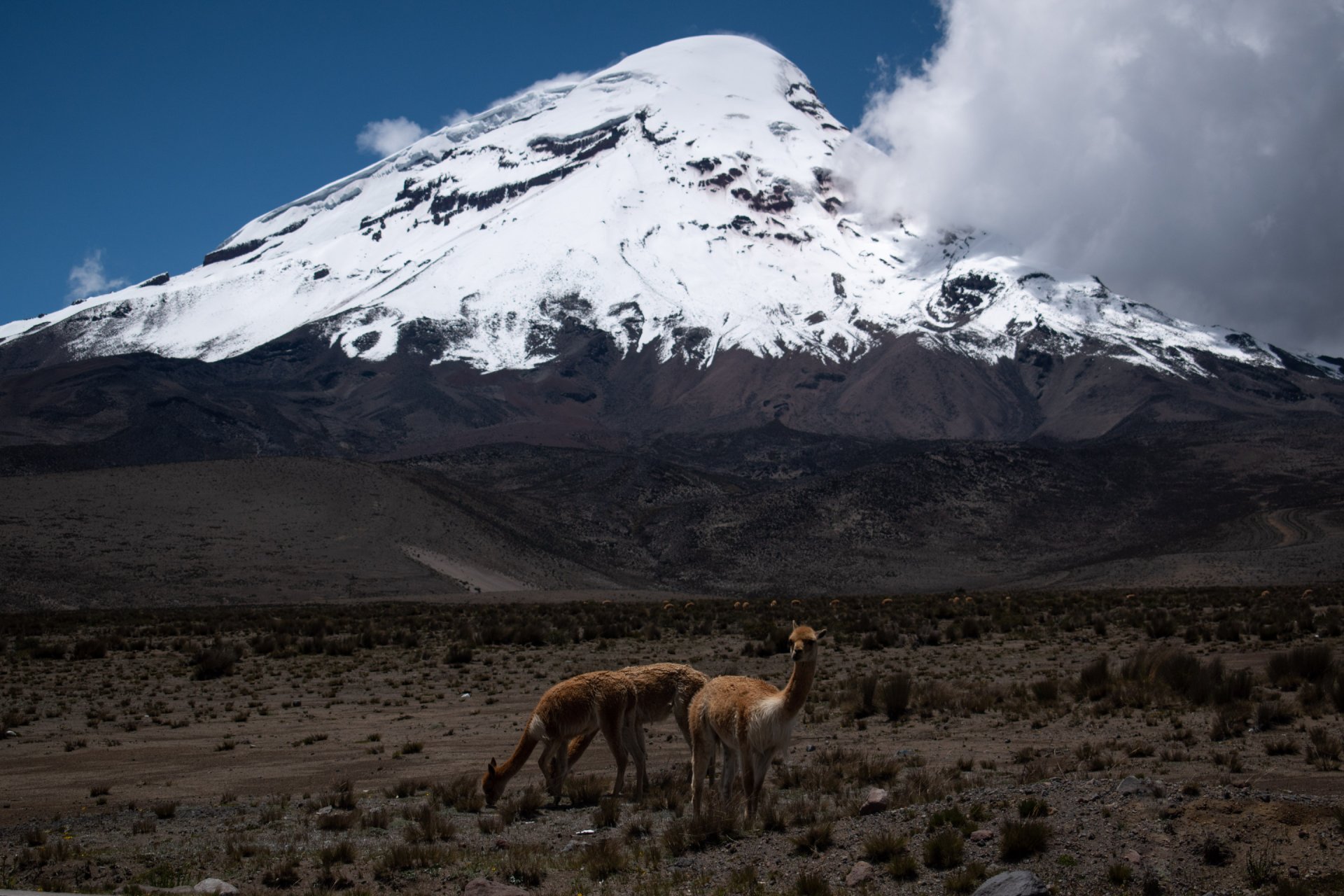 Chimborazo